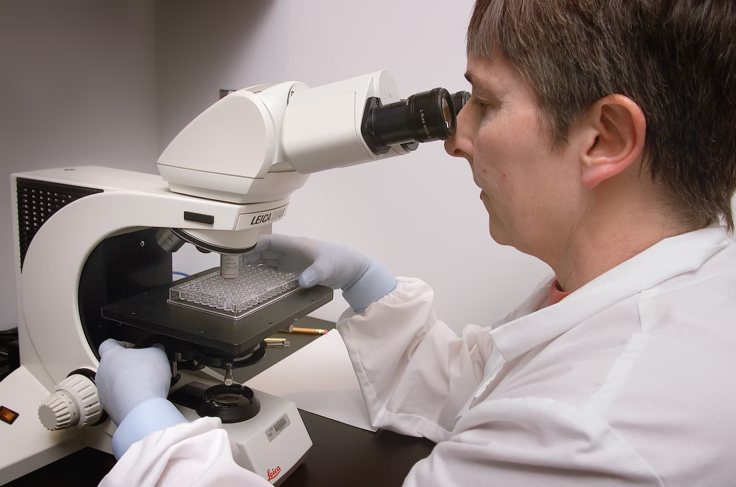 lab technician looking at samples through a microscope